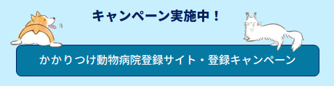 キャンペーンのお知らせ