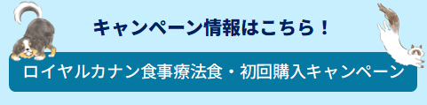 キャンペーンのお知らせ