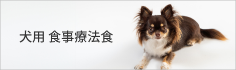 犬用 食事療法食/ロイヤルカナン/ロイカナ/ROYAL CANIN/フード/ごはん/ご飯/ゴハン/病気/症状